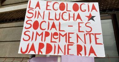 Diversos colectivos presentan alegaciones al anteproyecto de la Ley de Vivienda Vacacional del Gobierno de Canarias