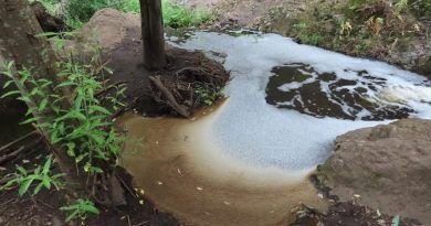 “Silencio absoluto tras un año del grave vertido de productos químicos en el cauce del Barranco de Las Madres/Azuaje”