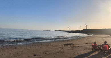 Drago Gran Canaria denuncia los vertidos y la mala gestión del Cabildo en el sureste insular