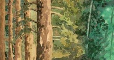 El libro “En el rincón de sombra”, de Maruja Salgado se presenta en La Casa Verde de Firgas el viernes 30 de enero