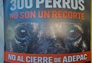 El desmantelamiento de ADEPAC y el negocio de la desprotección animal como modelo de la «nueva gestión»