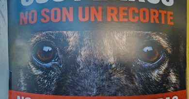 El desmantelamiento de ADEPAC y el negocio de la desprotección animal como modelo de la «nueva gestión»