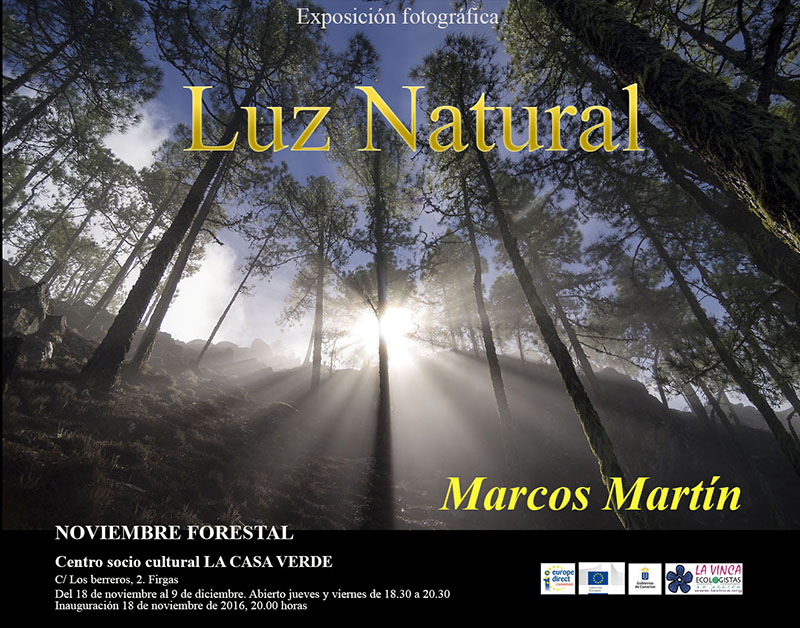 expos-luznatural-firgas1