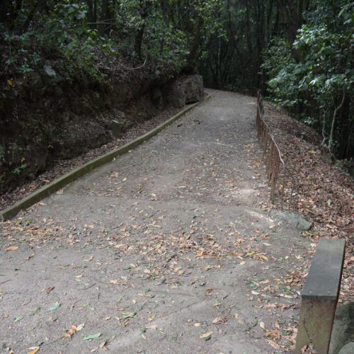 Sendero “accesible” de Agua García, 400 metros muy bonitos pero que no pisa una silla de ruedas ni por despiste