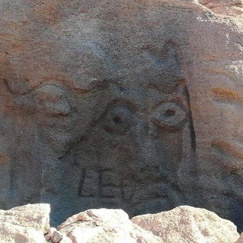 WhatsApp Image 2019-02-03 at 17.10.22(2)