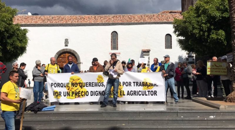<strong>La Palma: 600 plataneros protestan contra los abusivos precios de agua y abonos, y exigen a las cooperativas que ayuden a abaratar los costes</strong>