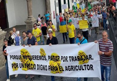 La Palma se moviliza para salvar de la ruina a miles de familias que cultivan plátano en Canarias