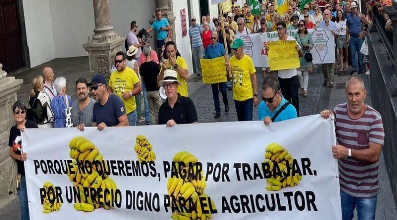La Palma se moviliza para salvar de la ruina a miles de familias que cultivan plátano en Canarias