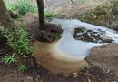 “Silencio absoluto tras un año del grave vertido de productos químicos en el cauce del Barranco de Las Madres/Azuaje”