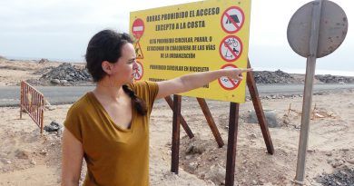Drago Canarias denuncia que el complejo turístico Rosa del Lago se construirá sobre dos zonas con protección