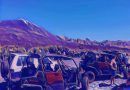 Colectivos ecologistas solicitan al Consejo de la Red de Parques Nacionales que informe desfavorablemente y paralice la tramitación del nuevo PRUG del Teide