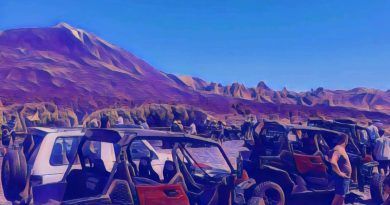 Colectivos ecologistas solicitan al Consejo de la Red de Parques Nacionales que informe desfavorablemente y paralice la tramitación del nuevo PRUG del Teide