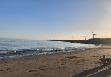 Drago Gran Canaria denuncia los vertidos y la mala gestión del Cabildo en el sureste insular Drago Gran Canaria denuncia los vertidos y la mala gestión del Cabildo en el sureste insular