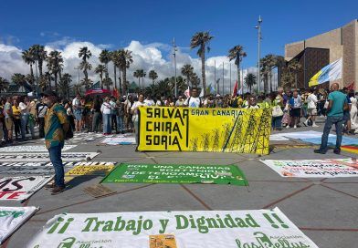 El imperio de la ecoisla. Territorialidad y control político El imperio de la ecoisla. Territorialidad y control político