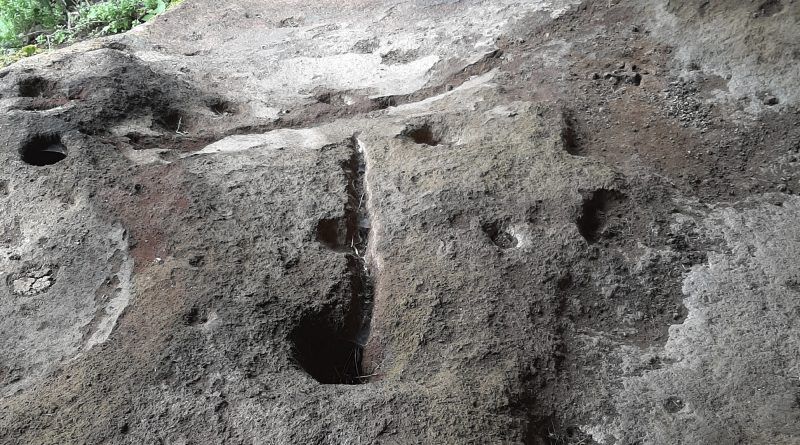 Drago solicitará la inclusión de las cazoletas guanches de Punta del Hidalgo en el catálogo de patrimonio de La Laguna Drago solicitará la inclusión de las cazoletas guanches de Punta del Hidalgo en el catálogo de patrimonio de La Laguna