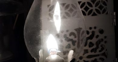 Iniciativa por La Gomera (IxLG) lamenta la falta de información técnica y transparencia tras el cero energético