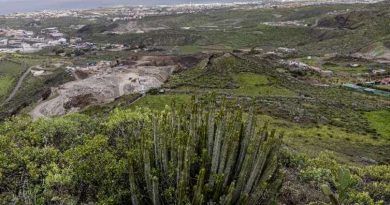 Turcón lleva a la Fiscalía Provincial de Medio Ambiente, la extracción de picón en la Montaña Rajada de Jinámar