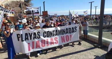 Ben Magec y Turcón solicitan conocer las valoraciones de la Demarcación de Costas de Canarias sobre el informe toxicológico de la ULPGC y a qué se destinará el mismo