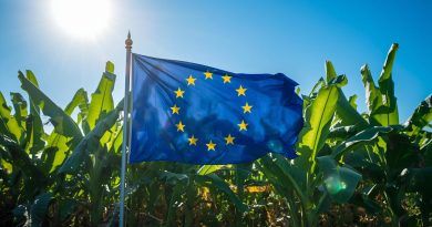 Historia de la integración canaria en la Unión Europea