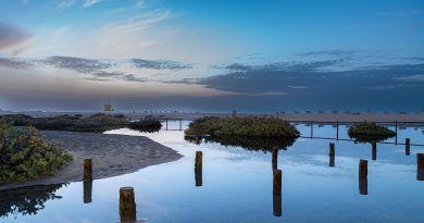 La exposición “Humedales, un tesoro que conservar”, de Antonio Pérez Marrero, llega a La Casa Verde de Firgas este 5 de febrero
