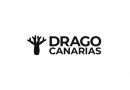 Comunicado oficial de Drago Canarias sobre el bloqueo político a Canarias