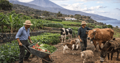 Colectivos ecologistas de Canarias apoyan al campo canario en sus reivindicaciones contra el acuerdo entre la Unión Europea y Mercosur