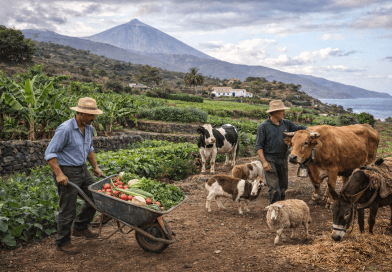 Colectivos ecologistas de Canarias apoyan al campo canario en sus reivindicaciones contra el acuerdo entre la Unión Europea y Mercosur Colectivos ecologistas de Canarias apoyan al campo canario en sus reivindicaciones contra el acuerdo entre la Unión Europea y Mercosur