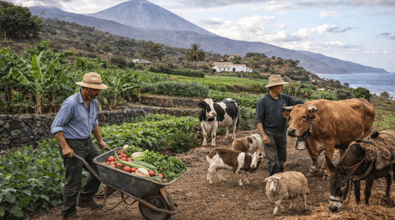 Colectivos ecologistas de Canarias apoyan al campo canario en sus reivindicaciones contra el acuerdo entre la Unión Europea y Mercosur Colectivos ecologistas de Canarias apoyan al campo canario en sus reivindicaciones contra el acuerdo entre la Unión Europea y Mercosur