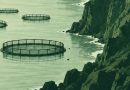 Liberación Canaria manifiesta su preocupación y oposición al proyecto de jaulas marinas previsto entre La Aldea de San Nicolás y Artenara