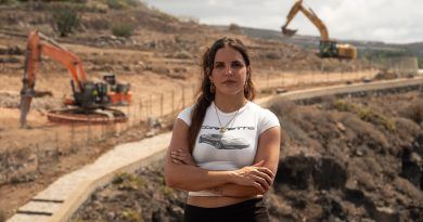 Drago Canarias pide explicaciones a CC y PP por un nuevo pelotazo turístico en el sur de Tenerife: 1100 plazas alojativas y dos hoteles
