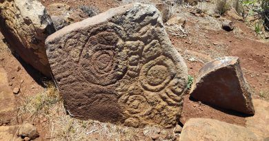 Primeras noticias sobre la existencia de grabados rupestres en la isla de La Palma