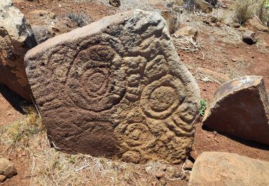 Primeras noticias sobre la existencia de grabados rupestres en la isla de La Palma Primeras noticias sobre la existencia de grabados rupestres en la isla de La Palma
