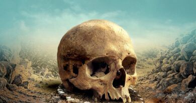 Tamaimos presenta el segundo número de la revista de historia de Canarias Episodios Insulares